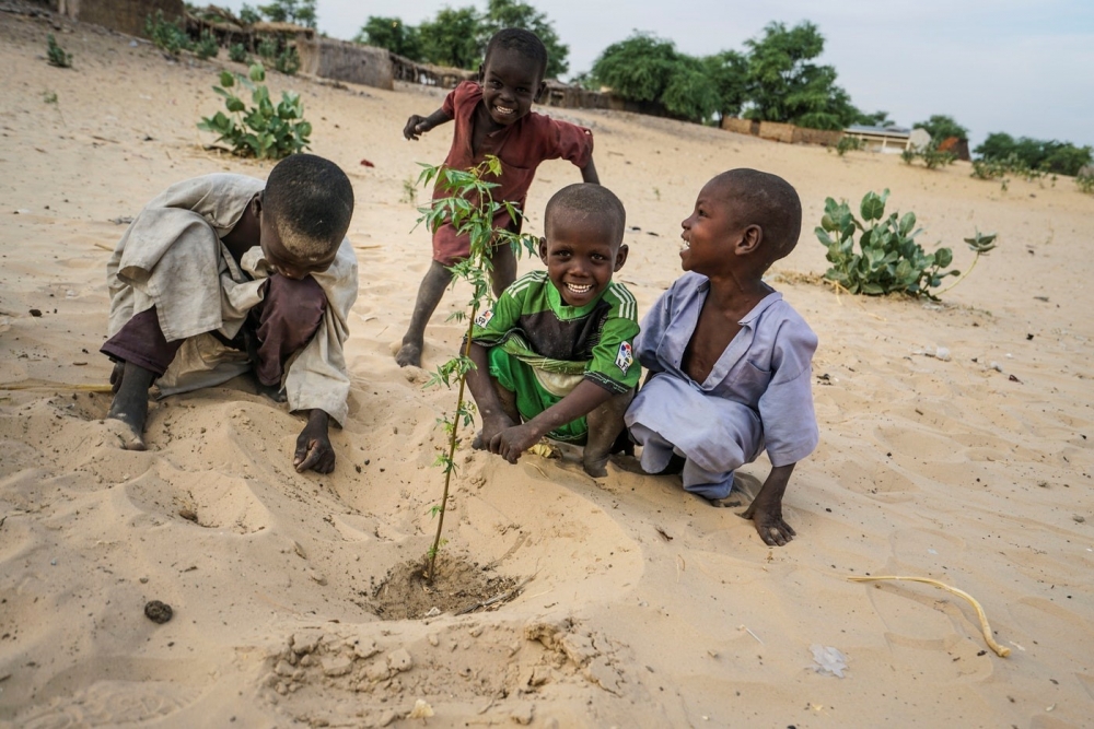 UNDP projects aim to prevent further deterioration of Lake Chad